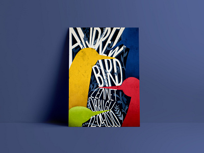 Dream Gigs Illustrated - Andrew Bird design gig poster gig posters graphic design illustration music music art poster print