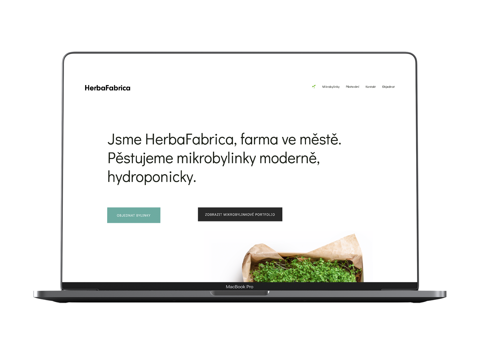 HerbaFabrica Corporate Identity Website