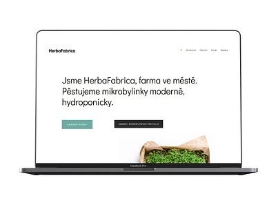 HerbaFabrica Corporate Identity Website a5 corporateidentity emoji green green logo herbafabrica herbal herbs mint print simple simple clean interface stickers typography website white