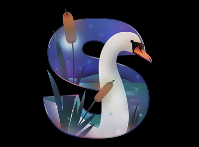 Illustrated Swan alphabet illustration letter swan
