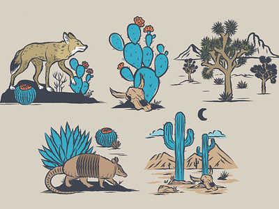 Desert inspired graphics desert desert vibes design graphic pack graphics illustration