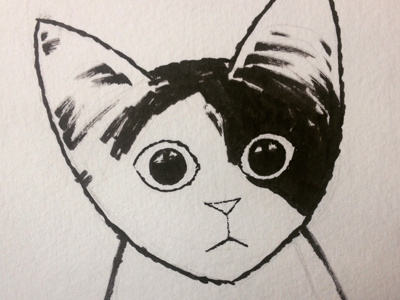 Let's draw cats