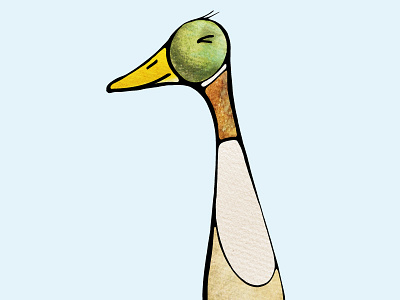 Duck animal biro drawing duck illustration line photoshop sharpie watercolour