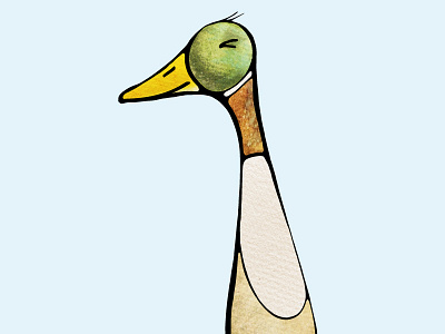 Duck