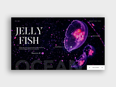 Jellyfish art design illustration interface design uidesigners uidesigns webdeisgn