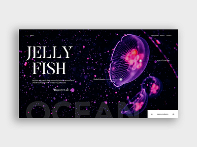 Jellyfish