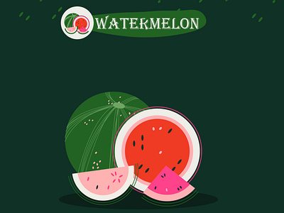 watermelone animation art design flat graphic design icon illustration illustrator vector website