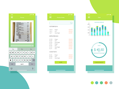 Expense tracking app chart design