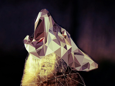 Work-In Progress: Low Poly Wolf abstract animal coloring in progress line work low poly portrait series vector wolf