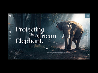 Protecting The African Elephant animal website animals charity clean discovery donation elephant interactive interactive prototype interactive web modern saving animals ui ui ux ui ux design web web design web interfaces webdesign website