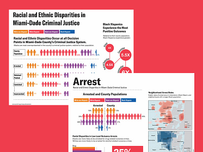 Infographics for the ACLU of Florida data visualization design illustration