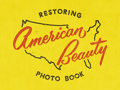 American Beauty america hand lettering illustration texture typography