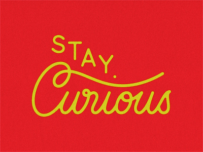 Stay Curious lettering script type typography