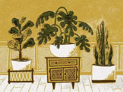 House Plants furniture illustration mid century mid century modern plants texture