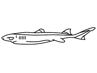 Dwarf Lantern Shark design dwarf icon illustration illustrator lantern ocean scary shark shark attack sharks