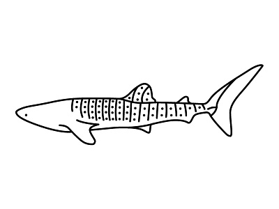 Whale Shark