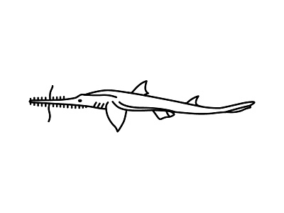 Longnose Saw Shark design fish friday icon illustration ocean predator sea shark