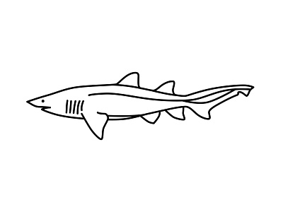 Nurse Shark design icon illustration nurse ocean shark