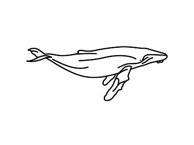 Humpback Whale design fish humpback icon illustration ocean whale