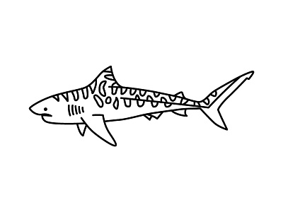 Tiger Shark design icon illustration ocean predator shark tiger