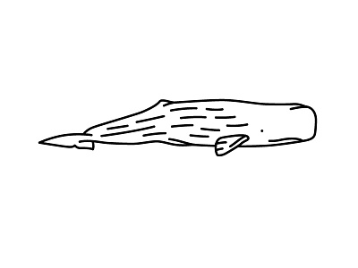 Sperm Whale design icon illustration sperm sperm whale