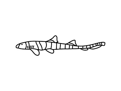 Brownbanded Bamboo Shark bamboo brown banded design fish icon illustration mammal pet predator shark