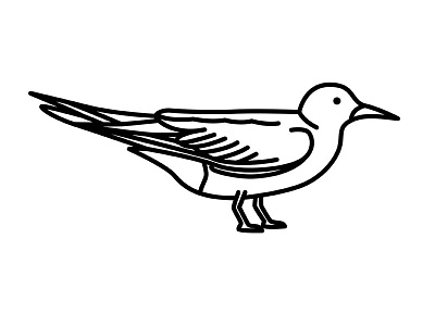 Black Tern bird birds black british design icon illustration tern