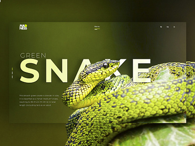 Green snake website concept animal branding design green snake ui web website