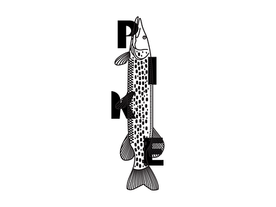 Pike - Illustration design designinpiration fish graphic design illustraion illustraor illustration design kolcsarzsolt line lineart pike typogaphy typography design