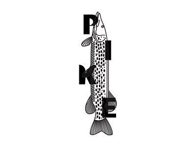 Pike - Illustration