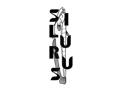 Silurus - Illustration design designinpiration fish graphic design illustration illustrator kolcsarzsolt line lineart silurus typogaphy typography design