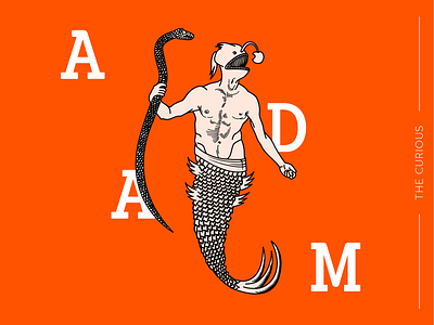 Adam - The Curious adam bible design designinspiration fish graphic design illustration illustration design illustrator kolcsarzsolt line lineart typogaphy vector