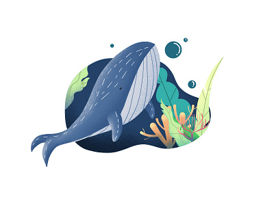 whale 插图