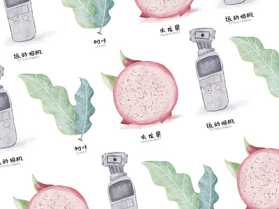 Pitaya and DJI match better design doodle fruit fruity gourmet illustration plant ui 人物 包装 插画 植物 设计