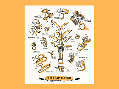 DOODLE cactus design doodle plant prickly pear ui 仙人掌 仙人球 包装 插画 树叶 植物 设计
