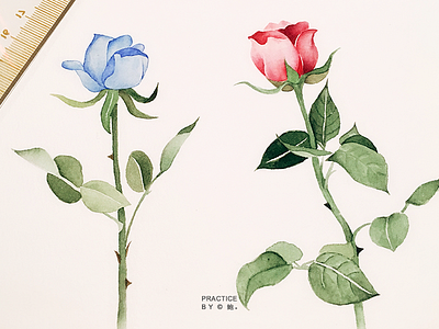 rose design flower ui watercolour painting