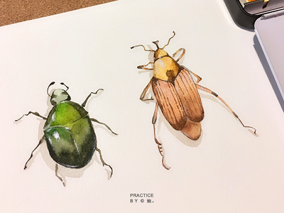 昆虫 design watercolour painting