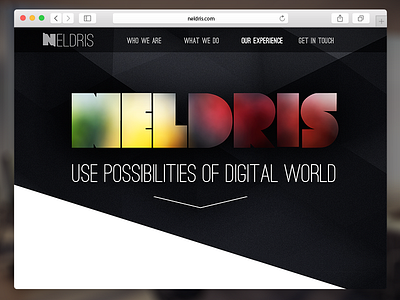 Neldris website art design development digital flat ui ux web mobile