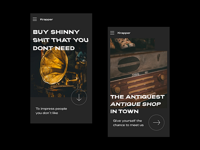 Antique Shop UI bold clean ui web web design