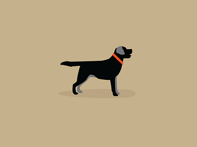 Black Lab