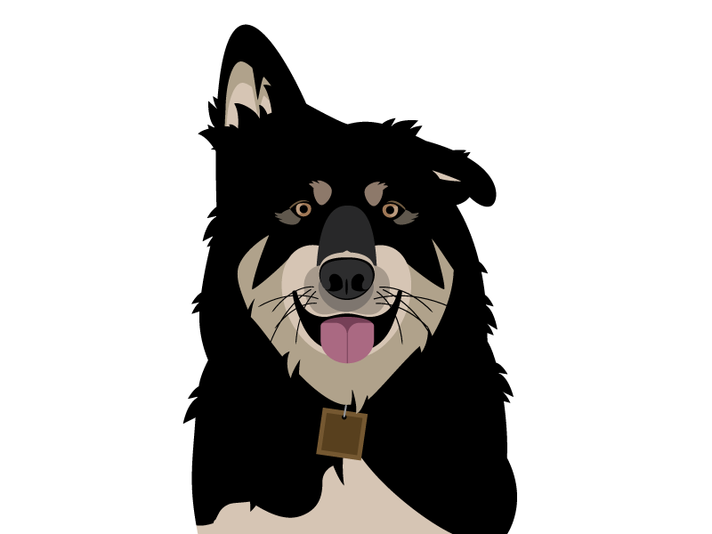Doggy Illustration alaska dog rescue dog mixed breed samoyed malamute