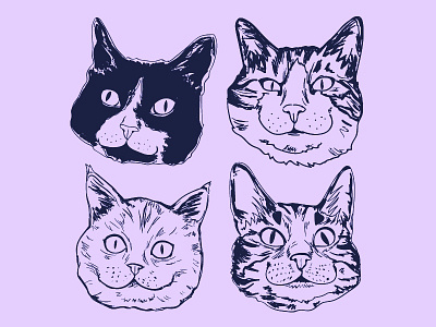 Cats! animal animals art cat cats digital art drawing illustration illustrator