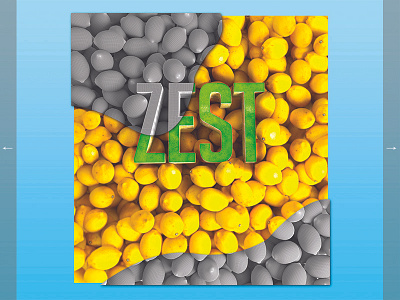 Web Layout Zest