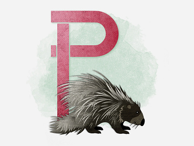 Alphabet Animals - Letter P