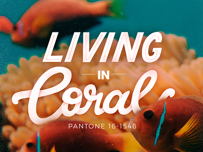 Living Coral brush lettering color hand lettering illustration nature pantone typography