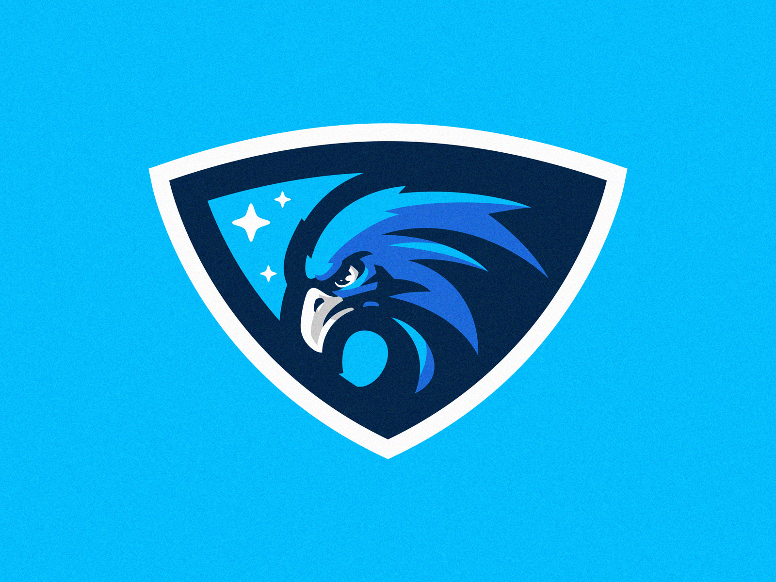 Eagle sports logo by Saiku Rizal on Dribbble