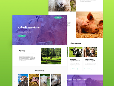 Animal Rescue Farm Design Proposal animals and pets web design website website design