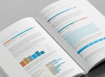 Report Design and Data Visualization for UNDP in Ukraine adobe illustrator adobe indesign data visualization design infographic layout print layout report undp