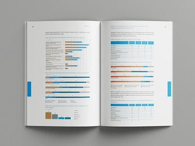 Report Design and Data Visualization for UNDP in Ukraine adobe illustrator adobe indesign data visualization design infographic layout print layout report undp