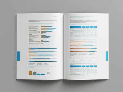 Report Design and Data Visualization for UNDP in Ukraine